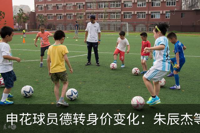 申花球员德转身价变化：朱辰杰等6人上升，12人下降