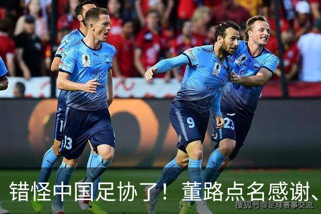 错怪中国足协了！董路点名感谢、否认被打压，未收到祝贺情有可原